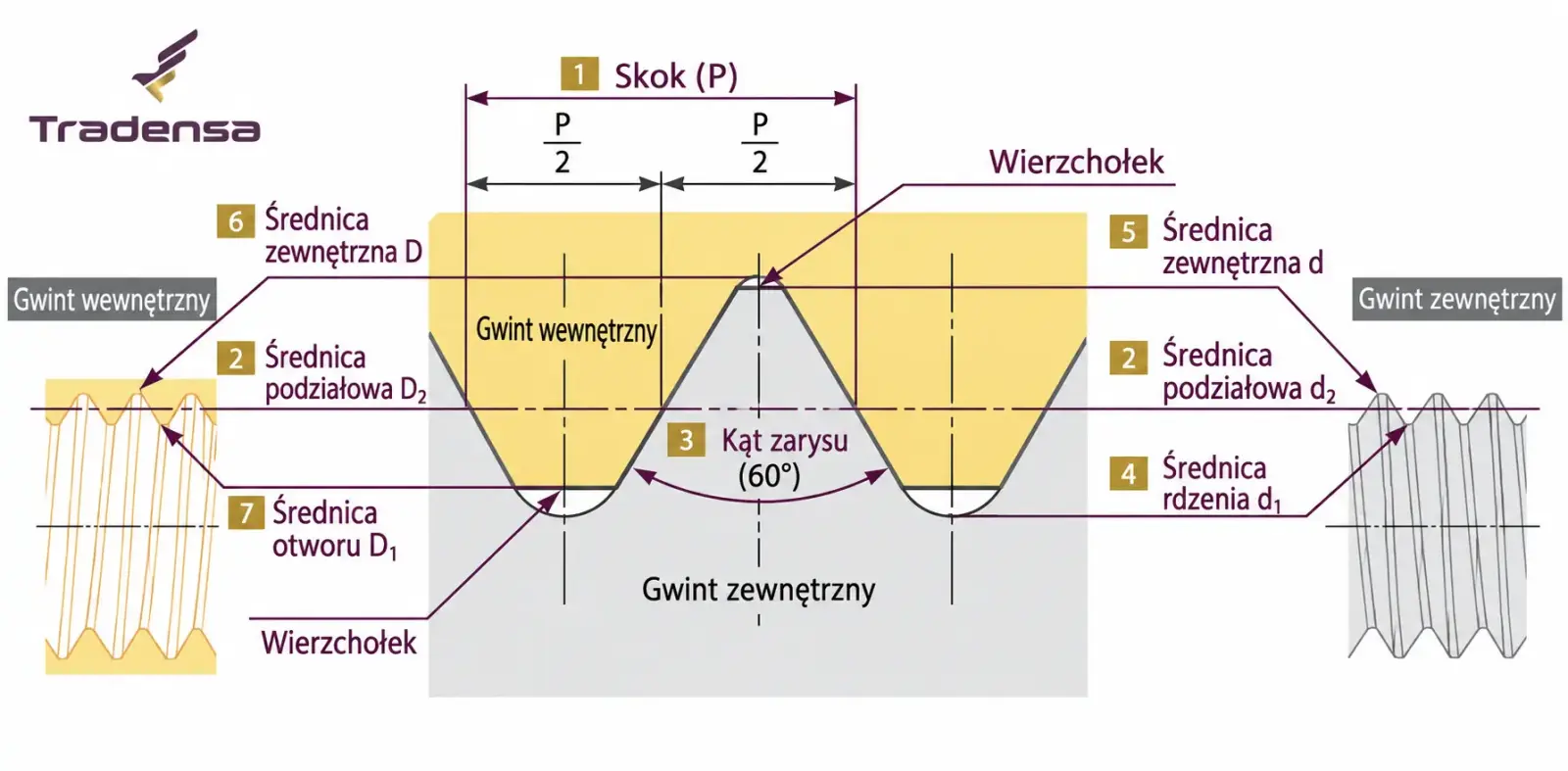 Budowa gwintu wewnętrznego i zewnętrznego – skok P, kąt zarysu 60° oraz średnice D, D1, D2, d, d1 i d2